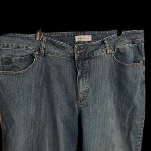 Coldwater Creek Women’s Jeans 18